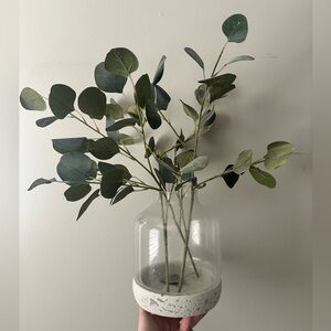 Glass Vase - Decorative Home Accent